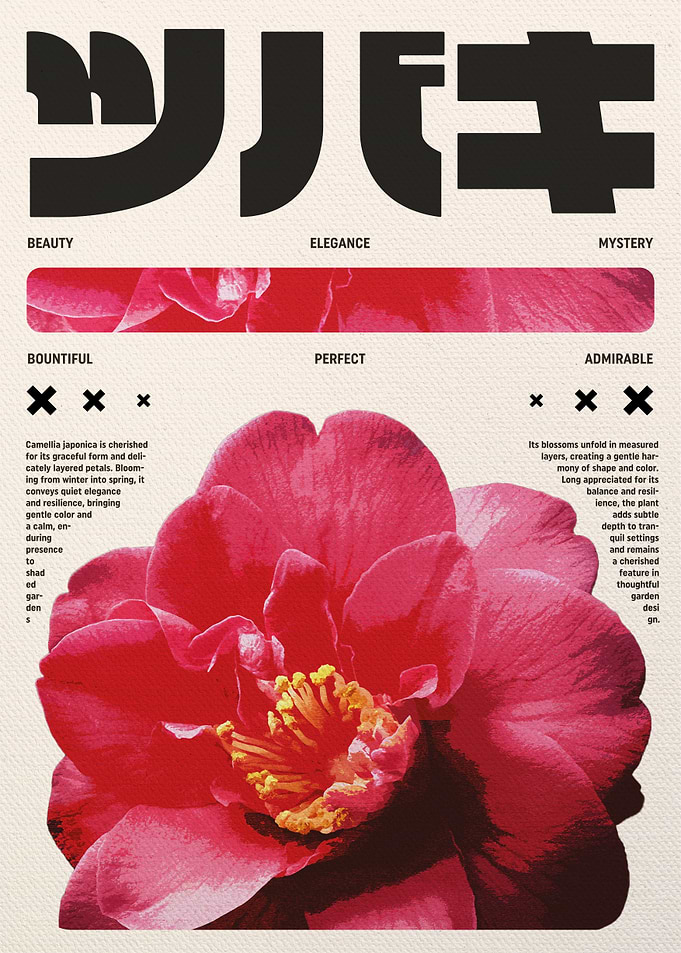 Japanese Camellia Flower Poster