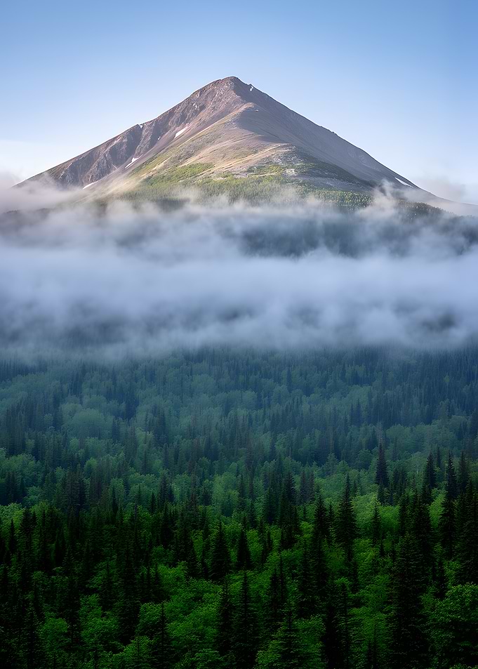 Misty Mountain Forest Landscape
