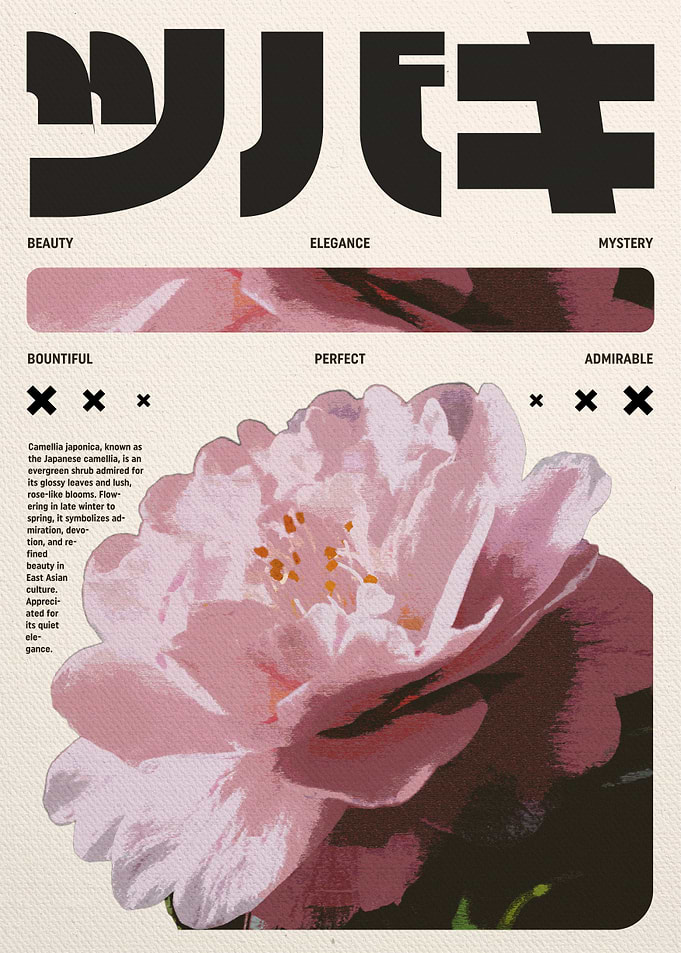 Pink Camellia Flower with Japanese Text