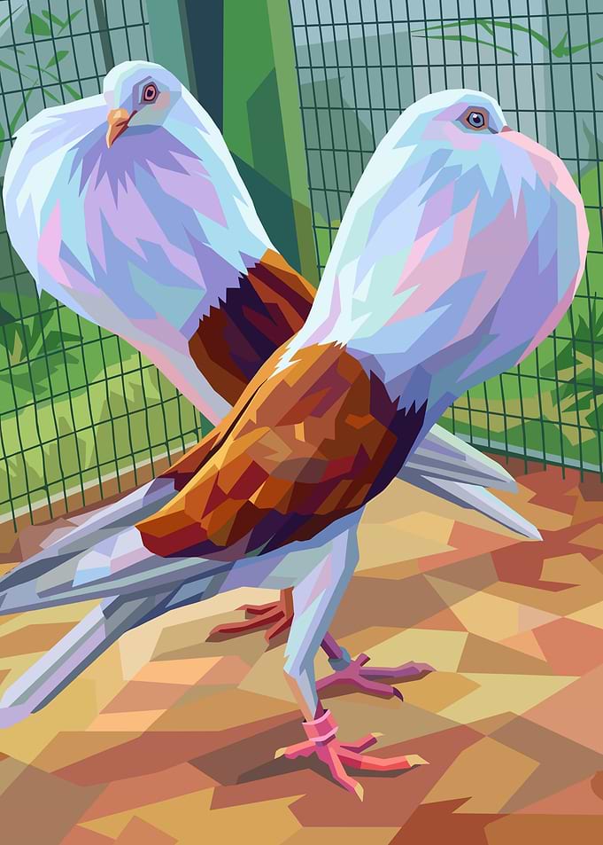 Two Pigeons in a Pen