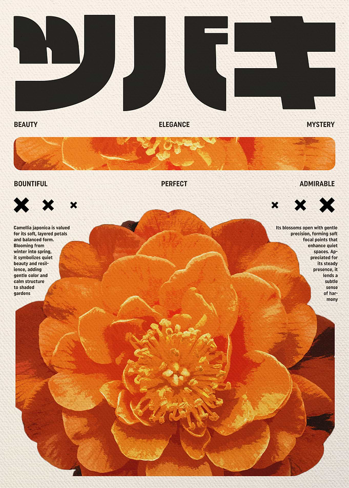 Orange Camellia Japonica Flower Poster