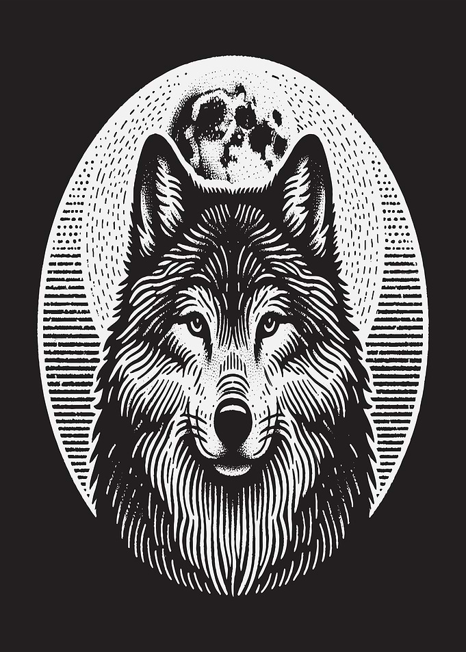 Wolf And Moon Illustration