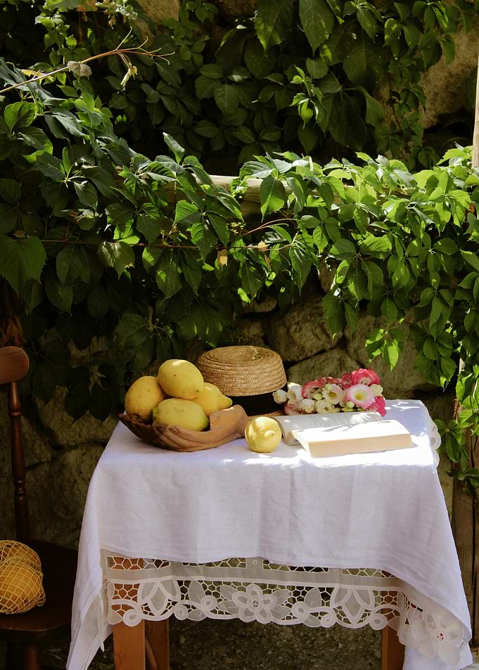 Still life with lemons and flowers