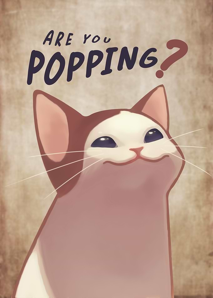 Are You Pooping Funny Bathroom - Funny Cat