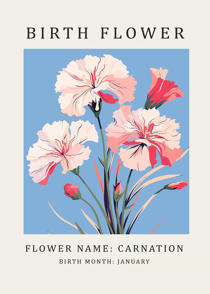 Carnation Birth Flower Poster