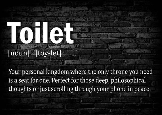 Funny Toilet Definition