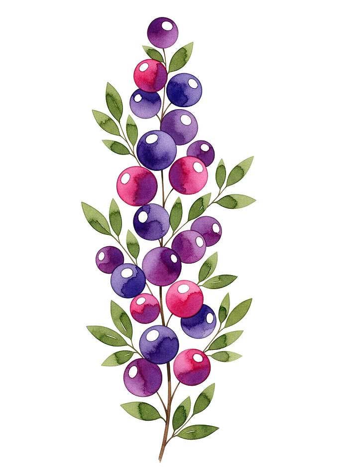 Watercolor Berries and Leaves