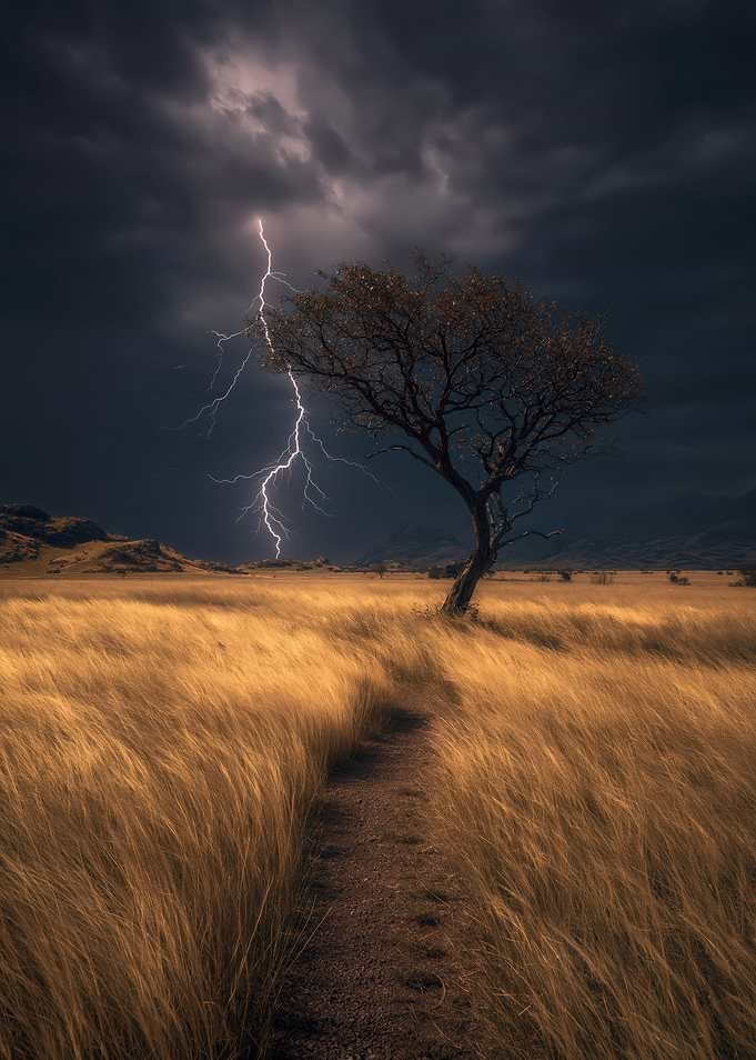 Lone Tree in a Storm with Lightning