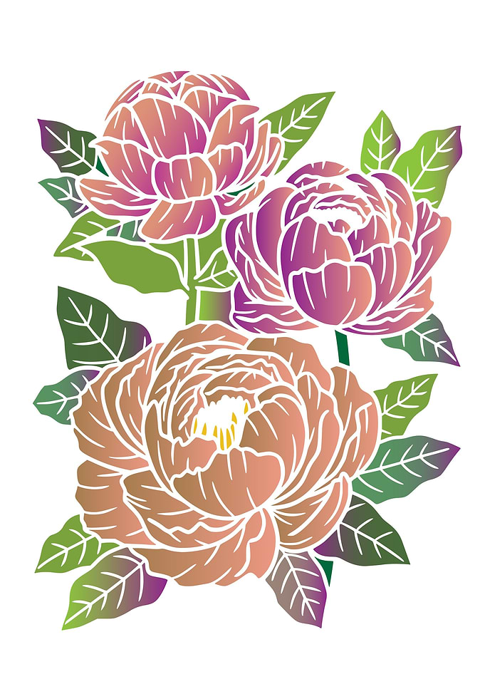 Gradient Peony Floral Design Rose Art