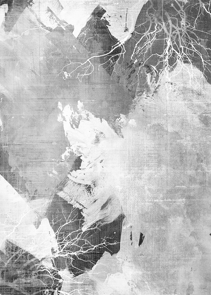 Abstract Black and White Tree Branches