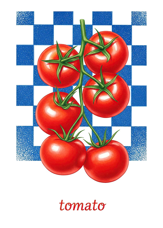 Tomatoes on a vine with checkered background