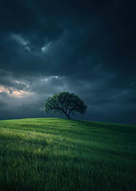 Solitary Tree Under Stormy Skies