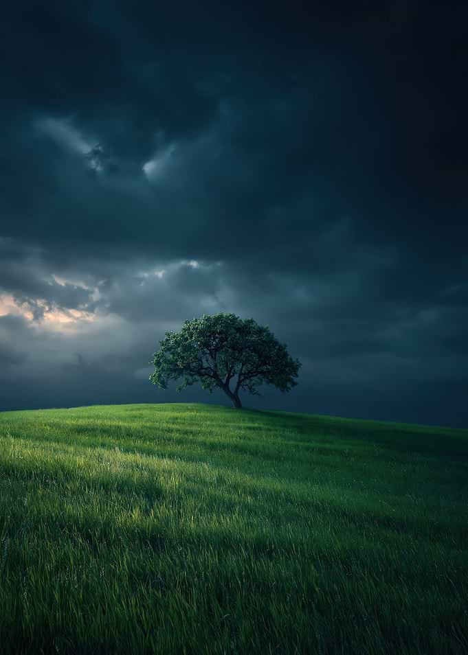 Solitary Tree Under Stormy Skies