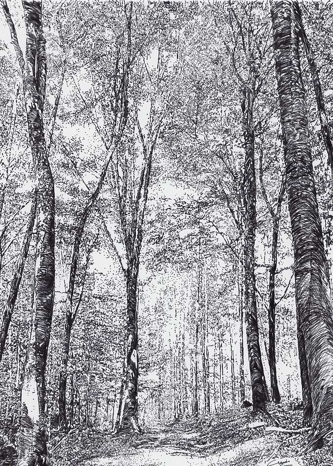 Trees - Forest