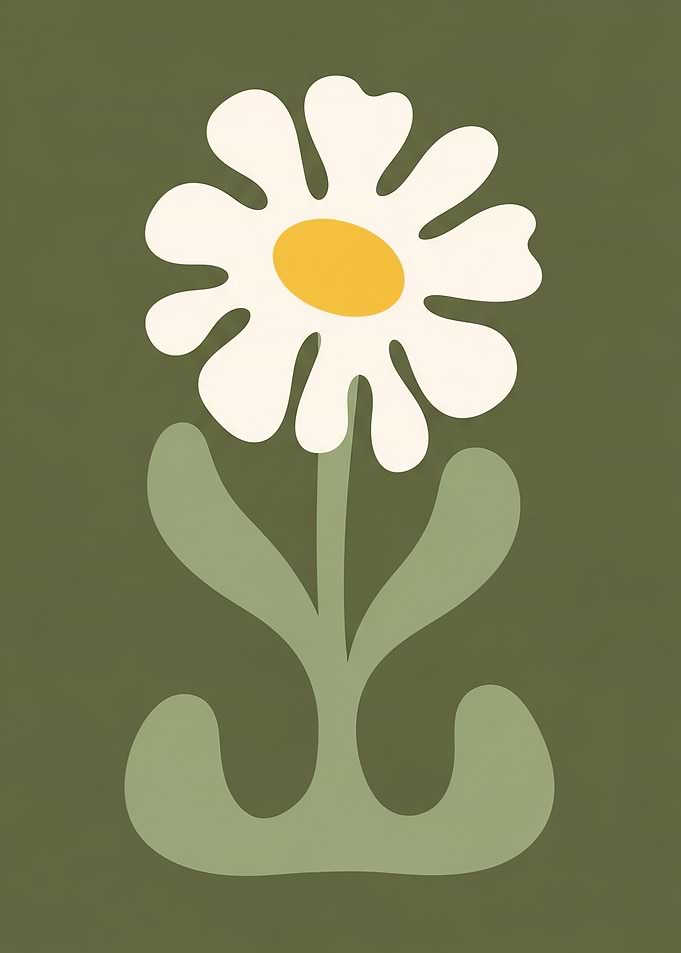 Minimalist Daisy Flower Illustration