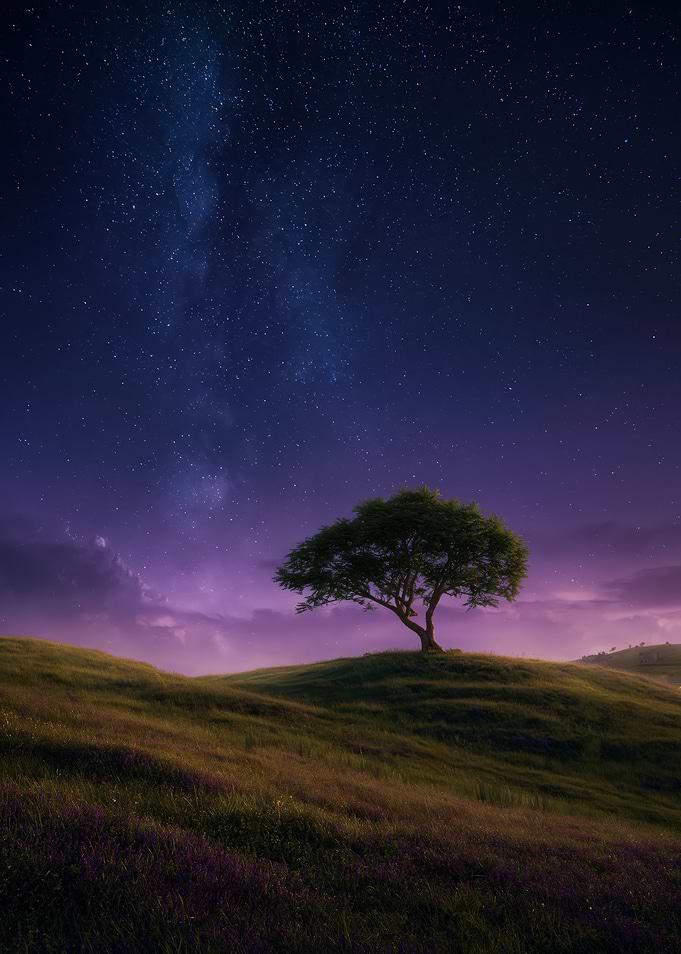 Tree under the Milky Way