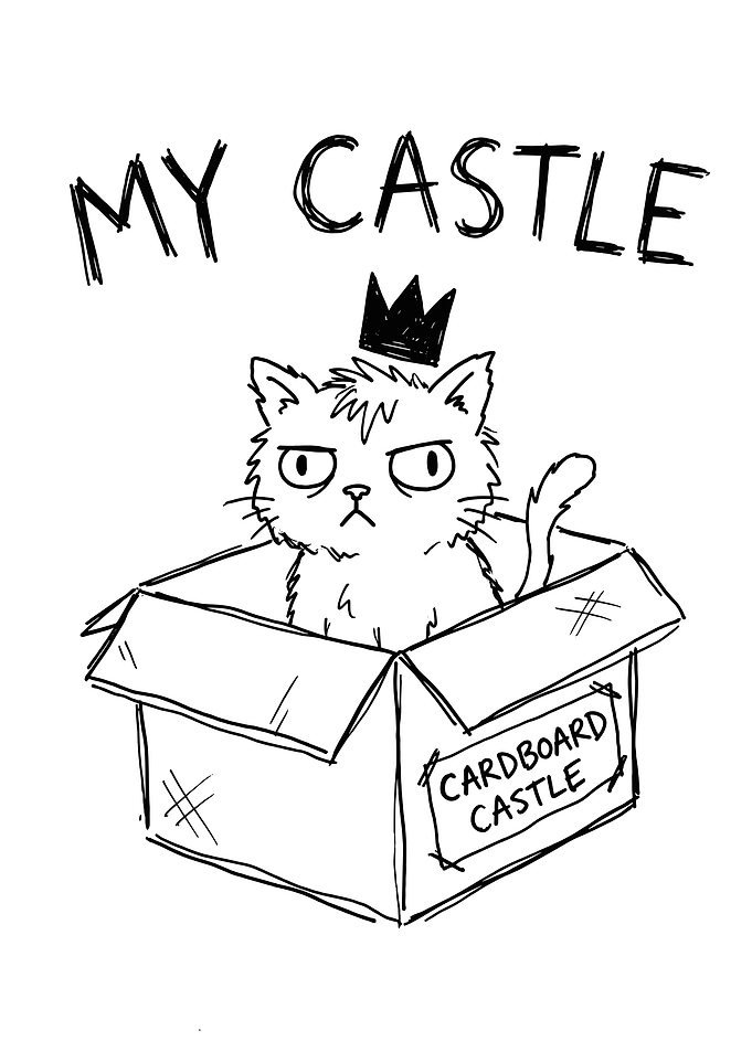 Cat in a Cardboard Castle