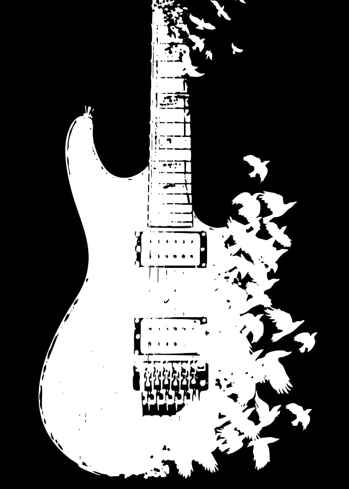 Guitar with Birds Silhouette