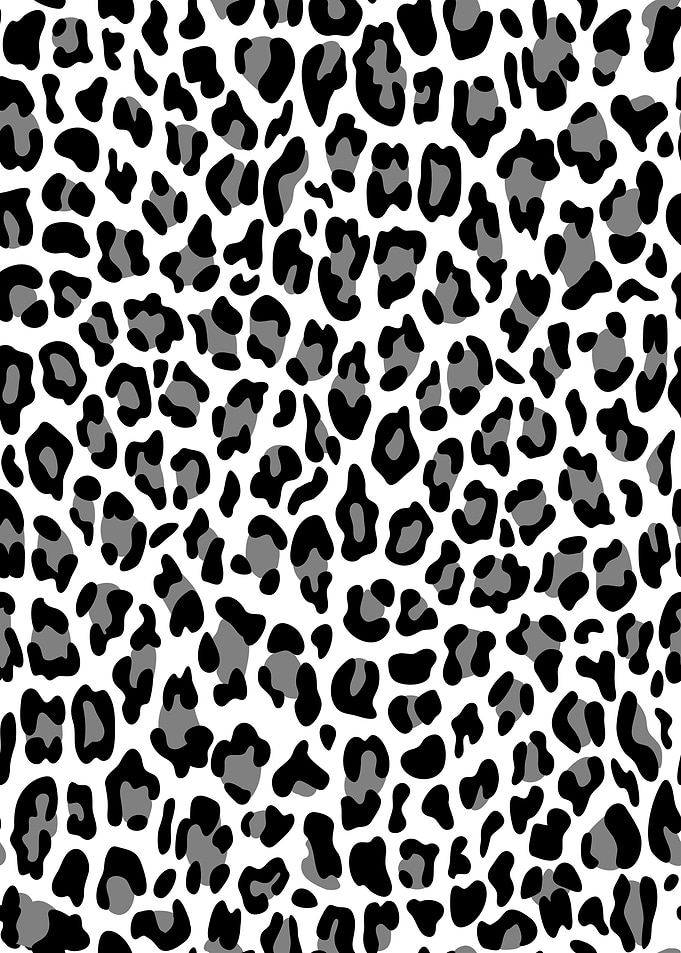 Leopard Print Pattern