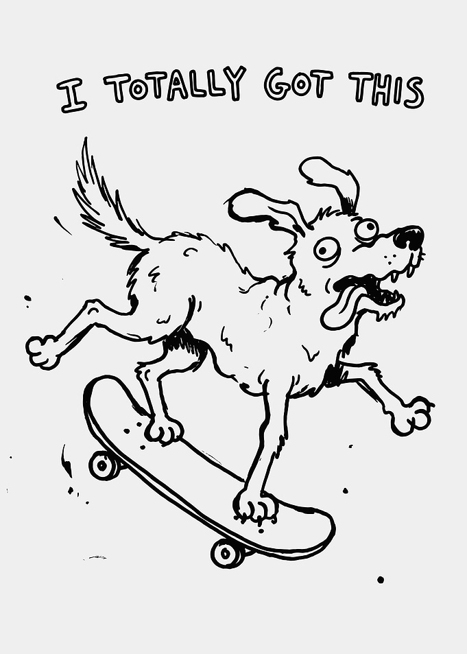 Dog on a Skateboard