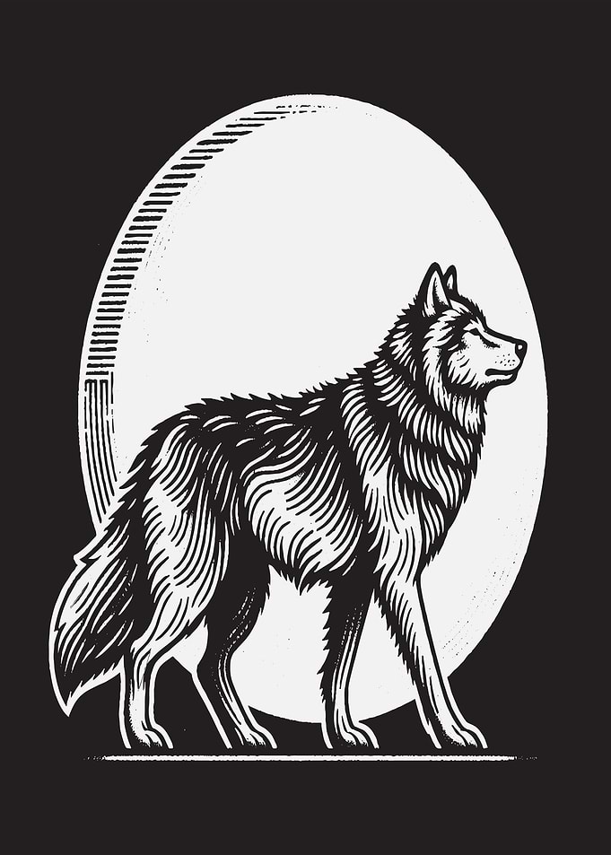 Wolf in front of a moon