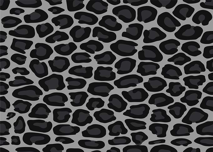 Leopard Print Pattern