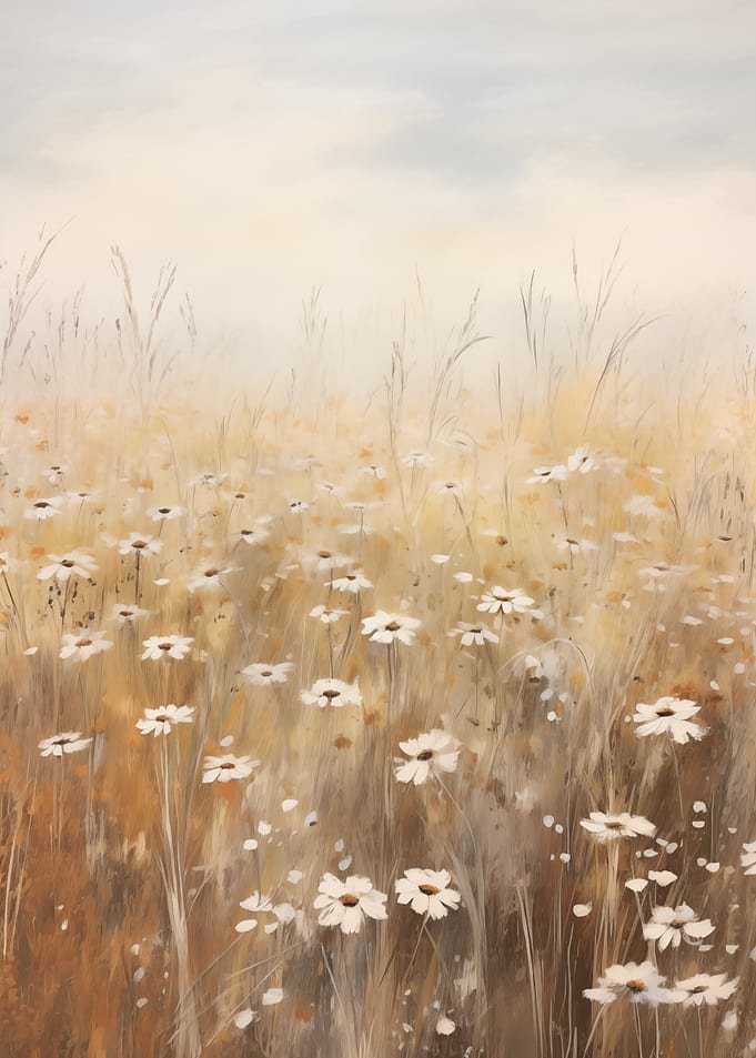 Field of Daisies in Soft Light