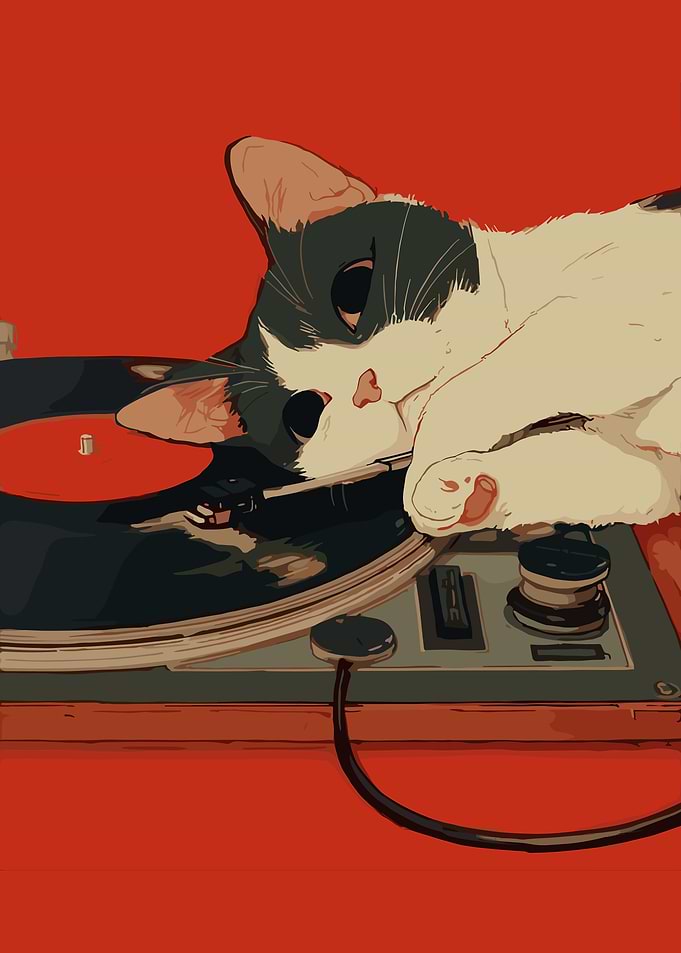 Vinyl Cat Poster, Cute Black White Cat Record Player Art, Whimsical Music Wall Print
