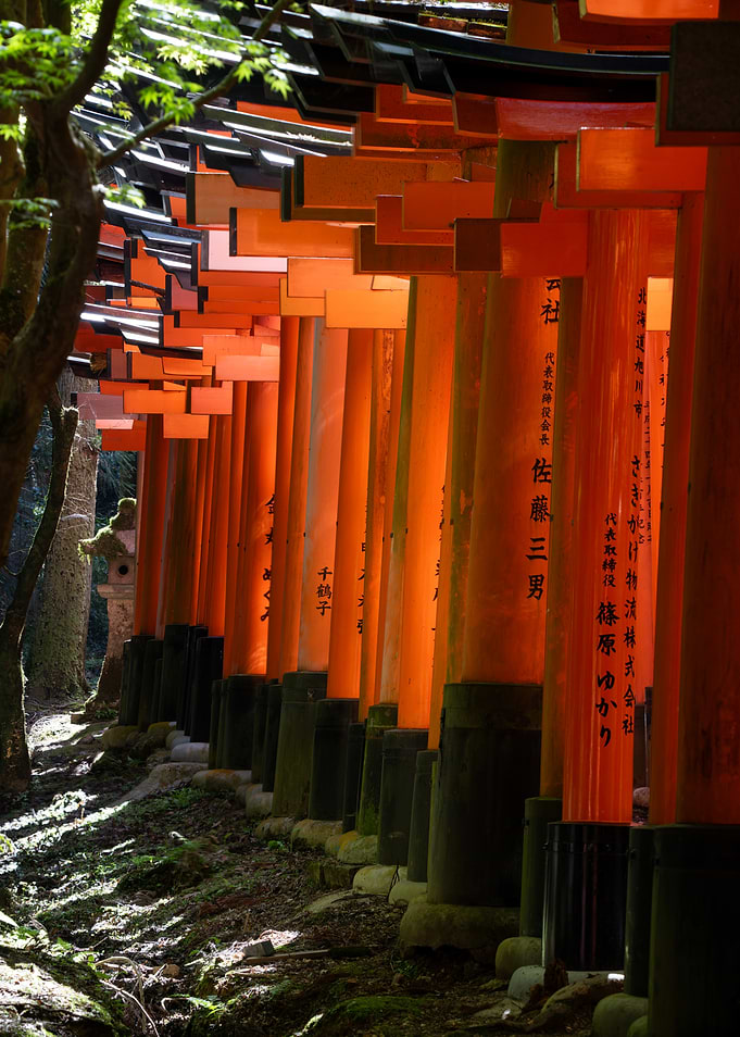 Path of Torii Gates