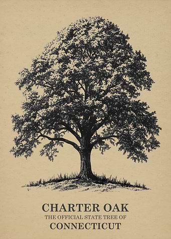 Charter Oak Connecticut State Tree