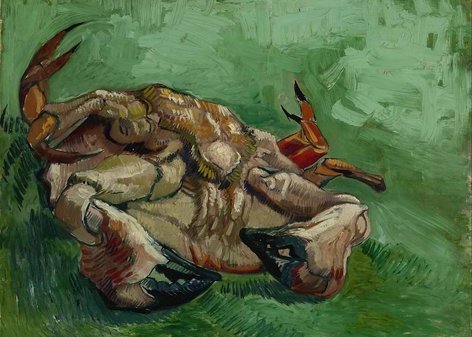 Still Life of a Crab
