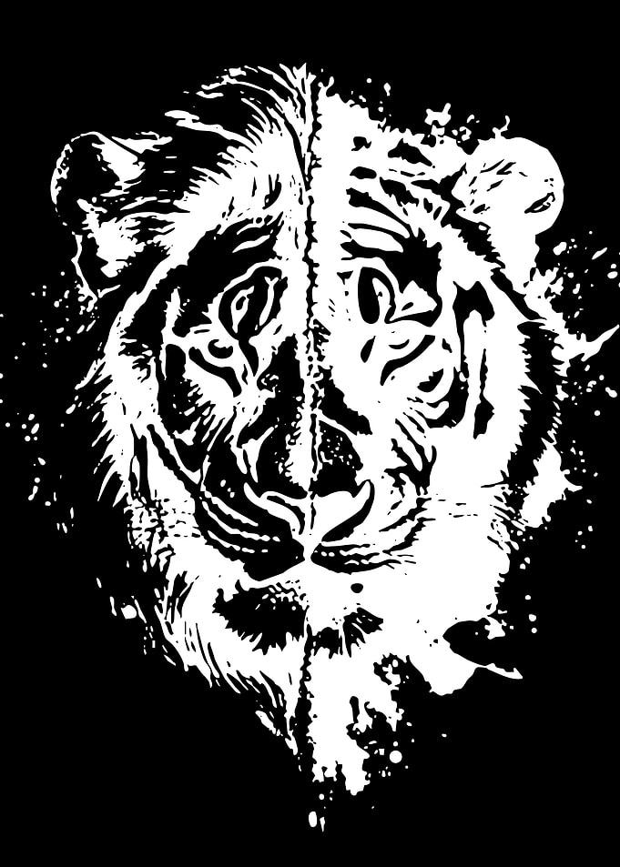 Split Tiger Face
