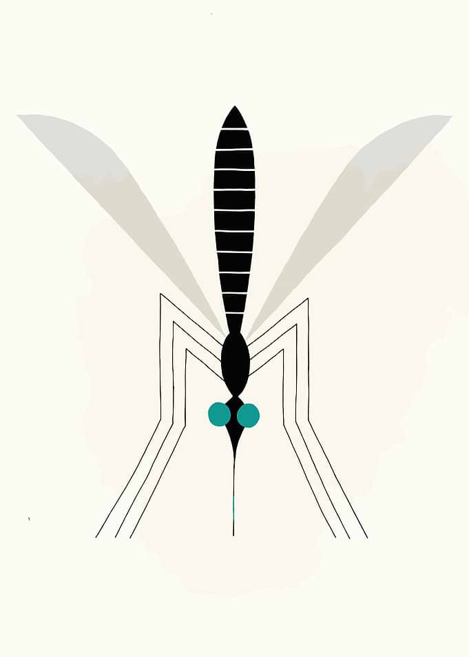 Minimalist Mosquito Illustration