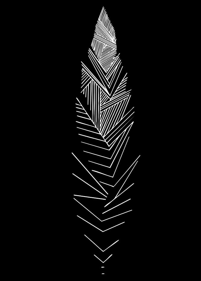 Abstract Feather Design