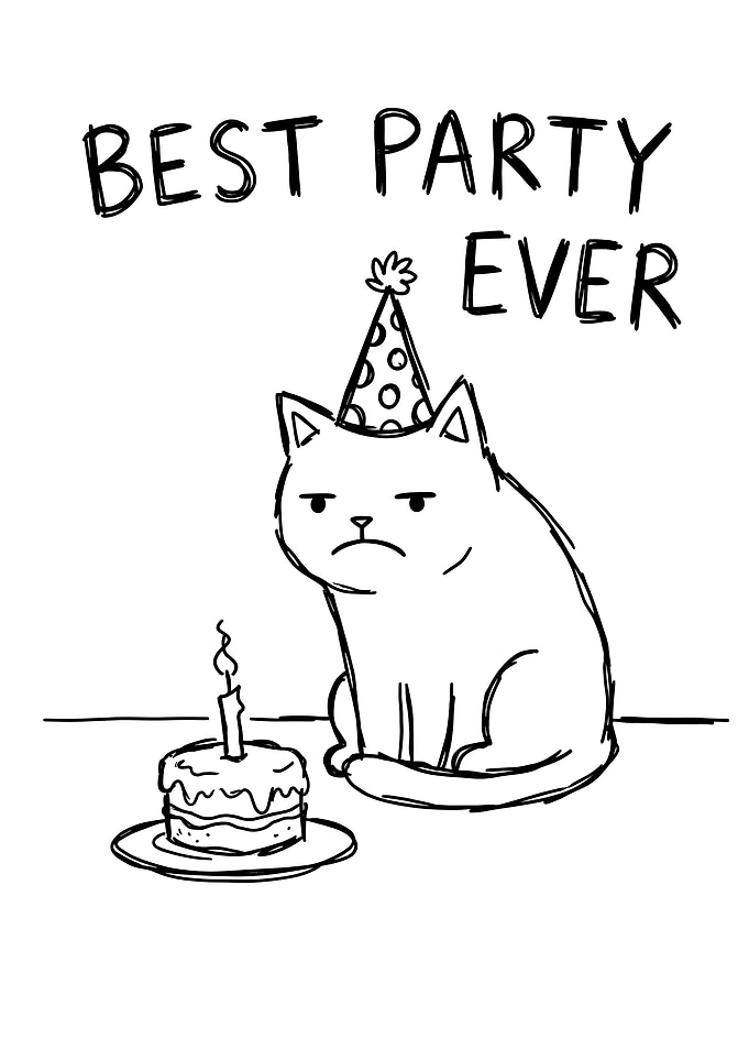 Grumpy Cat Birthday Party