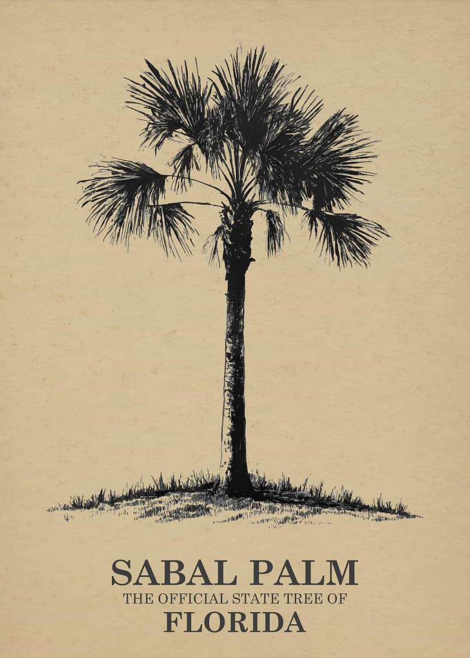 Sabal Palm State Tree of Florida
