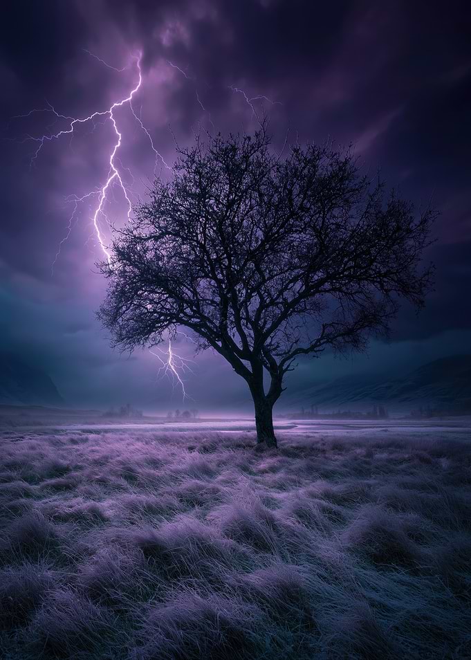 Tree in a Lightning Storm