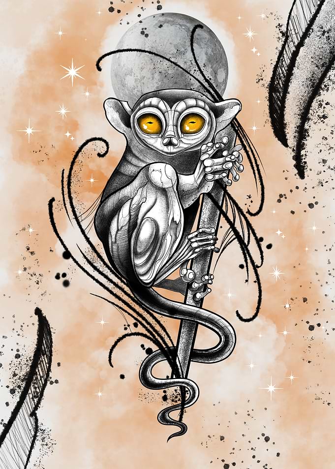 Tarsier with Moon