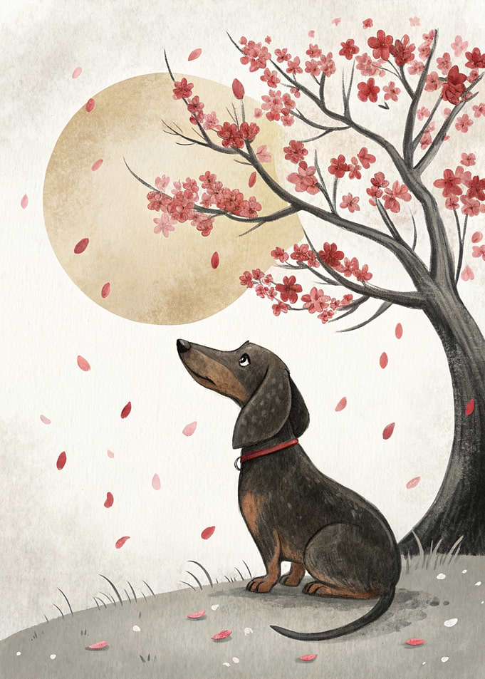 Dachshund Under Cherry Blossoms