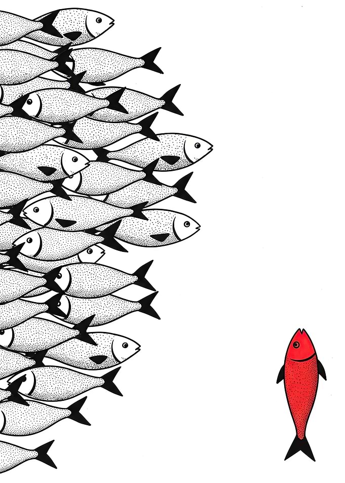 Red fish swims against the current