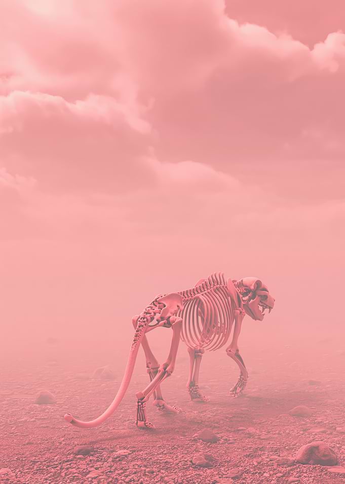 Skeleton of a Saber-Toothed Cat in a Pink Haze