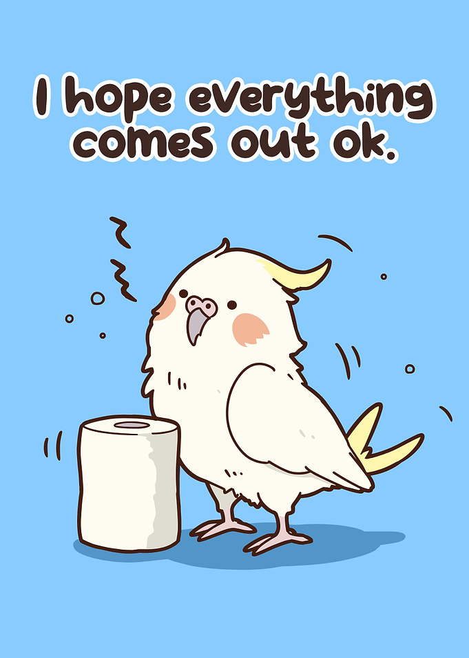 Cute Cockatiel with Toilet Paper