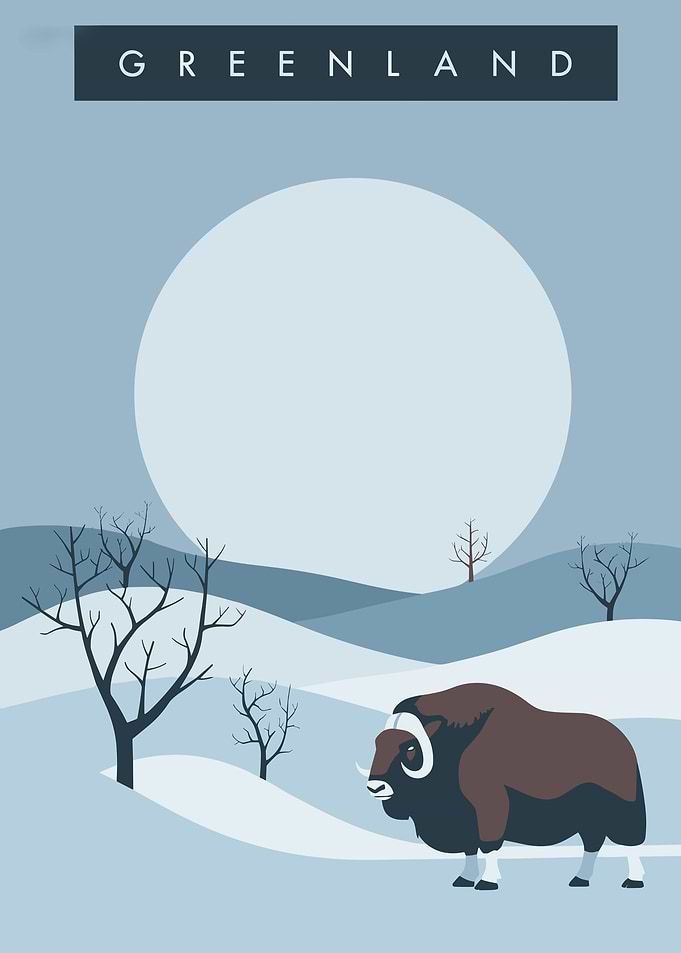 The Majestic Muskox of Greenland