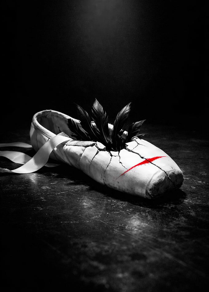 Broken Ballet Slipper with Feathers and Red Mark