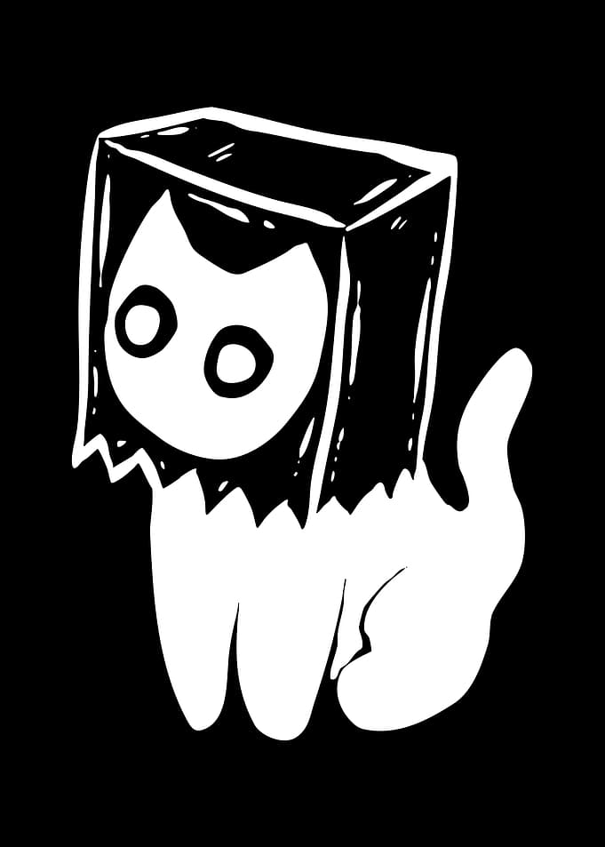 Cute Cat in a Box