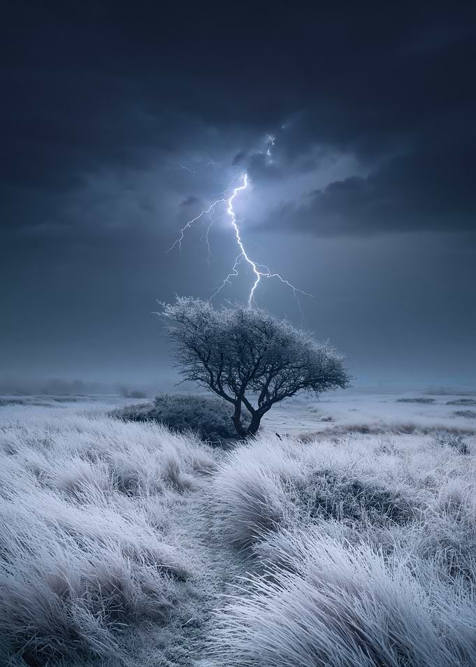 Lightning Strikes a Frosted Tree