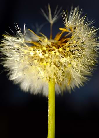 One Breath Away 1
