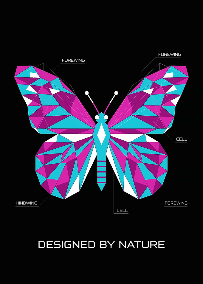 Geometric Butterfly Illustration
