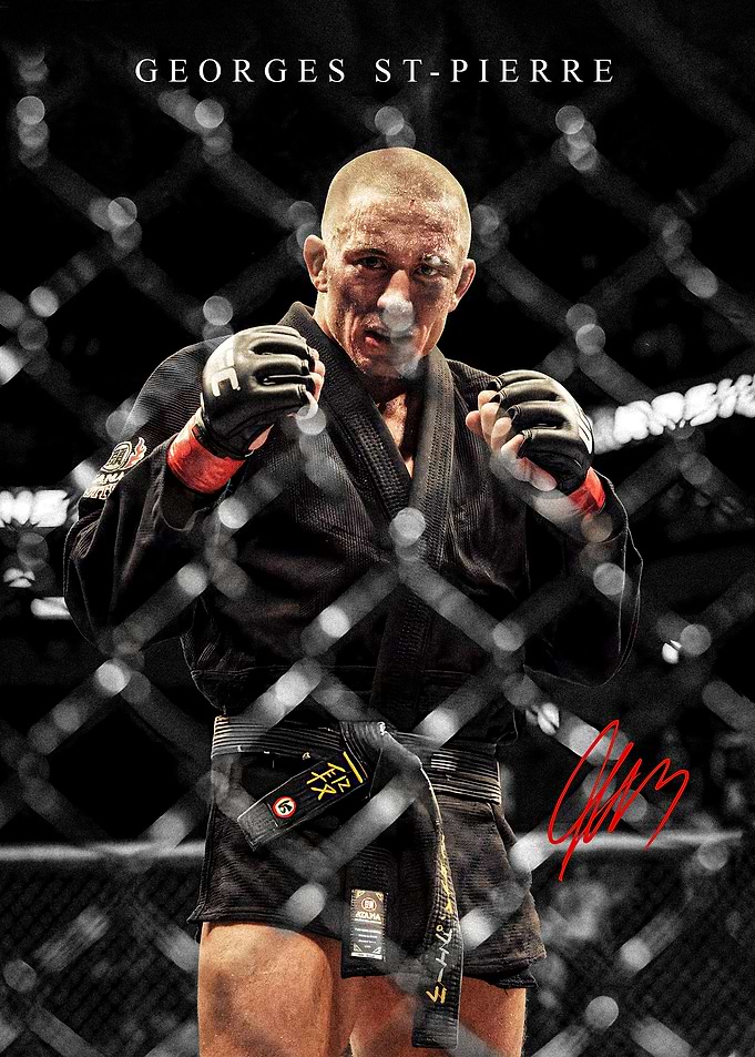 Georges St-Pierre in Octagon