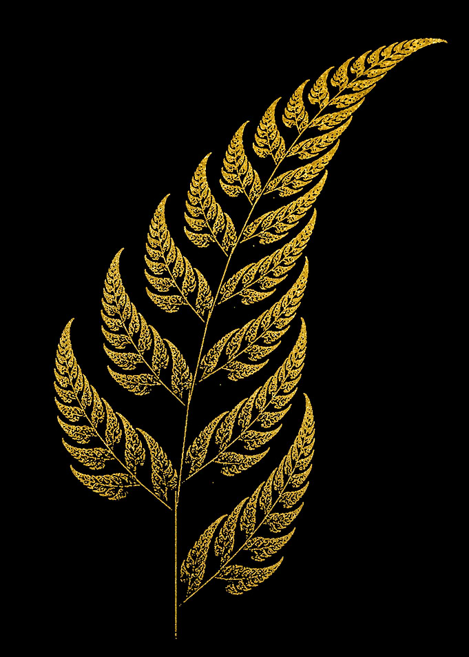 Golden Fern Branch on Black
